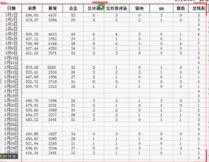 厚昌竞价托管提供营销流程统计表配图